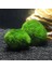 Moss Balls Seaweed Canlı Akvaryum Bitkisi Algler Frimp Tank Süsü (Yurt Dışından) 3