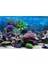C Stili 30X52CM 3D Akvaryum Manzara Poster Yağmur Ormanı Duvar Kağıdı Balık Tankı Arka Plan Dekorasyonu Pvc Kendinden Yapışkanlı Arka Plan Hd Sticker (Yurt Dışından) 1