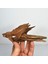 5-10CM 1 Adet Tarzı Doğal Ahşap Balık Tankı Driftwood Ağacı Mor Tik Gövdesi Driftwood Akvaryum Tesisi Akvaryum Dekorasyonu (Yurt Dışından) 3