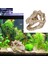 No.5 Tarzı Dragon Reçine Akvaryumterrarium Dekorasyon Timsah Kafatası Balık Tankı Reçine Süsleme Akvaryumunuzu Süsleyin (Yurt Dışından) 3