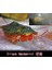 Lacivert Tarzı Üçlü Set Su Oyuncakları Triops Akvaryum Pet Trioeggs (Yurt Dışından) 4