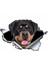 Yansıtıcı Stil Stil I Komik Rottweiler Araba Sticker Yırtık Metal Dekal Yansıtıcı Stickerlar Evcil Köpek Çıkartmaları 3D Rott Araba Stili, 13CM*8CM (Yurt Dışından) 2