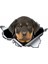 Yansıtıcı Stil J-Stil Komik Rottweiler Araba Sticker Yırtık Metal Dekal Yansıtıcı Stickerlar Evcil Köpek Çıkartmaları 3D Rott Araba Stili, 13CM*8CM (Yurt Dışından) 1
