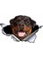 Yansıtıcı Stil J-Stil Komik Rottweiler Araba Sticker Yırtık Metal Dekal Yansıtıcı Stickerlar Evcil Köpek Çıkartmaları 3D Rott Araba Stili, 13CM*8CM (Yurt Dışından) 4