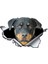 Yansıtıcı Stil J-Stil Komik Rottweiler Araba Sticker Yırtık Metal Dekal Yansıtıcı Stickerlar Evcil Köpek Çıkartmaları 3D Rott Araba Stili, 13CM*8CM (Yurt Dışından) 5