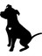 Siyah 10.15 Tl Sevimli Pitbull Köpek Yansıtıcı Araba Araç Gövde Pencere Çıkartmaları Sticker Su Geçirmez Dekorasyon (Yurt Dışından) 1