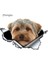 D Tarzı 13CM x 12.6cm Yorkshire Terrier Vinil Kişilik Sticker Yırtık Metal Etiket Hayvan Araba Sticker Pencere Tampon Evcil Köpek Araba Stil (Yurt Dışından) 1