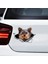 D Tarzı 13CM x 12.6cm Yorkshire Terrier Vinil Kişilik Sticker Yırtık Metal Etiket Hayvan Araba Sticker Pencere Tampon Evcil Köpek Araba Stil (Yurt Dışından) 3