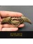 Açık Yeşil 3D Araba Stickerı Metal Yarasa Araba Logosu Araba Stil Metal Yarasa Rozeti Amblem Kuyruk Etiketi Motosiklet Araba Aksesuarları Otomobil (Yurt Dışından) 1