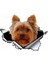 B Tarzı 13CM x 12.6cm Yorkshire Terrier Vinil Kişilik Sticker Yırtık Metal Etiket Hayvan Araba Sticker Pencere Tampon Evcil Köpek Araba Stil (Yurt Dışından) 1