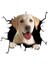 STIL20 1pc Oto Arka Cam Sticker Yavru Kırık Cam Sticker Elektrostatik 3D Simülasyon Fransız Bulldog Araba Sticker'ları (Yurt Dışından) 1