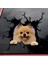 STIL20 1pc Oto Arka Cam Sticker Yavru Kırık Cam Sticker Elektrostatik 3D Simülasyon Fransız Bulldog Araba Sticker'ları (Yurt Dışından) 5