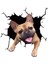 Stil3 1pc Oto Arka Cam Sticker Yavru Kırık Cam Sticker Elektrostatik 3D Simülasyon Fransız Bulldog Araba Sticker'ları (Yurt Dışından) 1