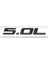 Pembe 3D Metal 4.0l 4.6l 4.7l 5.0l 5.3l 5.7l Araba Amblemi Bagaj Sticker Etiket Bmw Chevrolet Ford Dodge Toyota Honda Gmc Audi Hyundai - (Yurt Dışından) 1