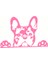 2 Adet Araba Sticker Patiler Yukarı Fransız Bulldog Frenchie Bully Köpek Süsleme Vinil Araba Sticker Yansıtıcı Lazer 3D Araba Sticker Araba Stil Amac: (Yurt Dışından) 1