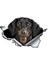 Yansıtıcı Stil D Tarzı 13CM x 9cm 3D Kahverengi Dachshund Hayvan Araba Sticker Yırtık Metal Etiket Yansıtıcı Sticker Su Geçirmez Araba Tasarımı Evcil Hayvan Köpek Etiketler (Yurt Dışından) 1