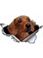 Yansıtıcı Stil D Tarzı 13CM x 9cm 3D Kahverengi Dachshund Hayvan Araba Sticker Yırtık Metal Etiket Yansıtıcı Sticker Su Geçirmez Araba Tasarımı Evcil Hayvan Köpek Etiketler (Yurt Dışından) 2