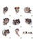No.1 Boyutu 3 Boyutlu Hayvan Araba Sticker Yaratıcı Kedi Köpek Araba Pencereleri Sticker Sevimli Araba Çıkartmaları Araba Süsü (Yurt Dışından) 3