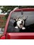 No.9 Boyutu Yeni Araba Sticker Köpek Sever Araba Stil Aksesuarları Otomatik Etiket Evcil Köpek Etiket Pencere Sticker Dekorasyon Araba Dekor (Yurt Dışından) 4