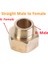 Ben Erkekten Kadına Tarzı M22X1,5 Brae Hex Nipple Fitting Hızlı Bağlantı Adaptörü M14** Basınç Göstergesi Dönüşüm Bakır Bağlantı- (Yurt Dışından) 1