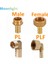 Kadın Tarzı 14 mm Diken Pc Pcf Pl Plf Pagoda Bağlantı Hortum Bağlantı Hortum Kuyruğu Dişi Bsp Brae Fitting - Türkçe E-Ticaret Başlığı (Yurt Dışından) 2