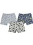 Desenli Erkek Boxer 2