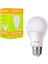 E27-220V 9 Watt 6500K Beyaz LED Ampul 1