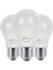 ORB/L9W 3lü Paket 9 Watt Beyaz LED Ampul 2