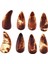 Cilalı Guzheng Çiviler Çocuklar Için Alıştırma Aksesuarı 8pcs Büyük (Yurt Dışından) 3