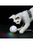 Evcil Hayvan Topu Oyuncak Renkli LED Dönen Flaş Topu Oyuncak Kedi USB Kedi Oyuncak (Yurt Dışından) 4