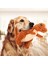 Evcil Köpek Gıcırtılı Çiğneme Önleyici Oyuncak Küçük Kedi Oyuncak Köpek Yavrusu Interaktif Çiğneme (Yurt Dışından) 5