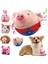 Peluş Otomatik Zıplayan Oyuncak Anti-Isırma Müzik Titreşim Zıplayan Top Kediler ve Köpekler Için Evcil Hayvanlar (Yurt Dışından) 2