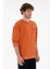 Erkek Tarçın Sweatshirt 50290777-VR191 1