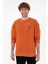 Erkek Tarçın Sweatshirt 50290777-VR191 3