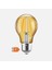 LED Filament Gold A60 4,5 W E27 1800K LED Ampul 1