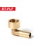 Btplf Stili 19MM Brae Uygun Hortum Bağlantı Hortum Kuyruk Bsp Erkek Bağlayıcı Bakır Kuplör Adaptör (Yurt Dışından) 1