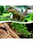 Gri Stil Simülasyon Bitki Süsü Kertenkele Üretim Kutusu Tırmanma Kertenkeleler Kertenkeleler Gecko Habitat Dekorasyon Bitkisi Hasır Pet Malzemeleri (Yurt Dışından) 4
