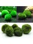 Marimo Yosun Topları Canlı Akvaryum Bitkisi Algi Frimp Tank Süsü Yeşil Akvaryum Süsü Ön Plan Çimen (Yurt Dışından) 4