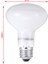 100W Tarzı E27 Uva Pet Isıtma Lambası Gündüz Gece Amfibi Kuş Yılan Güneşlenme Güneş Lambası Ampul Sıcaklık Sürüngen Işığı Gündüz Gece Ampulü (Yurt Dışından) 3