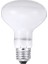 100W Tarzı E27 Uva Pet Isıtma Lambası Gündüz Gece Amfibi Kuş Yılan Güneşlenme Güneş Lambası Ampul Sıcaklık Sürüngen Işığı Gündüz Gece Ampulü (Yurt Dışından) 4