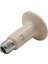 25W Tarzı 220V Uzak Kızılötesi Evcil Hayvan Isıtma Lambası Seramik Kaplumbağa Yavruluk Ampul Isı Yayıcı Işık Ampulü 25W 50W 75W 100W 150W 200W Süt - (Yurt Dışından) 1