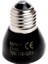 75W Tarzı Evcil Isıtma Işığı 25W 50W 75W 100W Mini Kızılötesi Seramik Isıtıcı Lamba Ampul Siyah Kertenkele Evcil Hayvan Yavruları Için (Yurt Dışından) 1