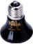 (110-120V)-75W Tarzı Evcil Sürüngen Üretim Seramik Isıtıcı Isıtma Lambası Ampul R9JC (Yurt Dışından) 3