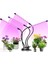 1 Kafa USB Bağlantı Noktası Stili USB Tam Spektrum Kontrol Bitkiler Için LED Büyüme Işığı Tohumlar Çiçekler Için Kapalı Klips Lamba Büyüme Kutusu (Yurt Dışından) 4