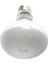 25W Tarzı Sürüngen Kaplumbağa Isıtma Lambası 220V Su Geçirmez Gün Işığı Lambası Aquarium Sıcaklık Kontrol Cihazı (Yurt Dışından) 1