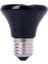 100W110V Stili Evcil Sürüngen Üretim Seramik Isıtıcı Isıtma Lambası Ampul (Yurt Dışından) 4