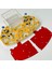 Sarı Stil 24X18X6.5CM Büyük Boy 24*18CM Akrilik Karınca Yuvası Dayanıklı Genişleme Karınca Çiftliği Eğitici Set Karınca Habitat Formikaryum (Yurt Dışından) 1
