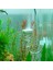 Spiral Co2 Difüzör Stili Akvaryum Bitkili Tank Için Glaral Co2 Diffuser Bubble Counter Co2 Jeneratörü Silindir Akvaryum Aksesuarları Için Diffüzör (Yurt Dışından) 2