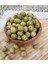 Halhali Zeytin Ağacı Fidanı (Büyük Boy) 5