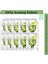 Imphyto Vitamin Içerikli Maske 10 Adet 1